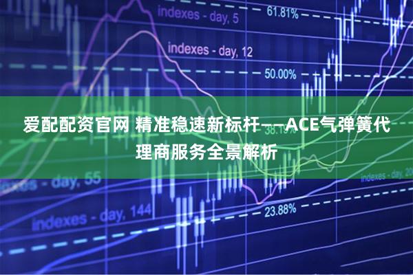 爱配配资官网 精准稳速新标杆——ACE气弹簧代理商服务全景解析