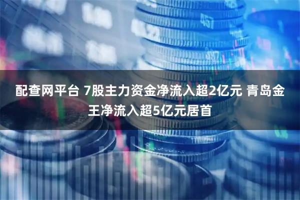 配查网平台 7股主力资金净流入超2亿元 青岛金王净流入超5亿元居首