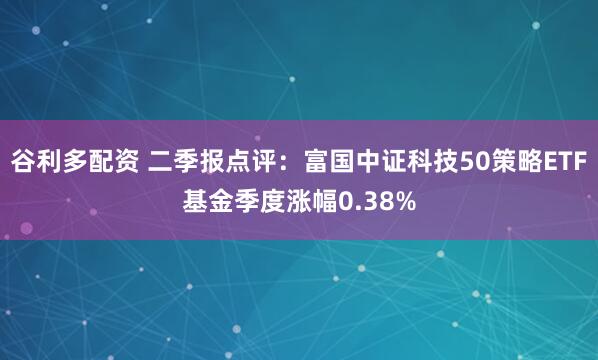 谷利多配资 二季报点评：富国中证科技50策略ETF基金季度涨幅0.38%