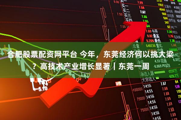 合肥股票配资网平台 今年，东莞经济何以挑大梁？高技术产业增长显著｜东莞一周